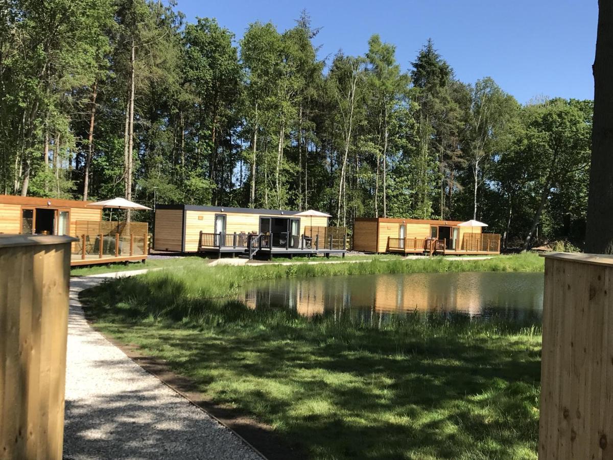 Oak Boutique Lodge Includes Hot Tub Air Con & Dog York Eksteriør billede