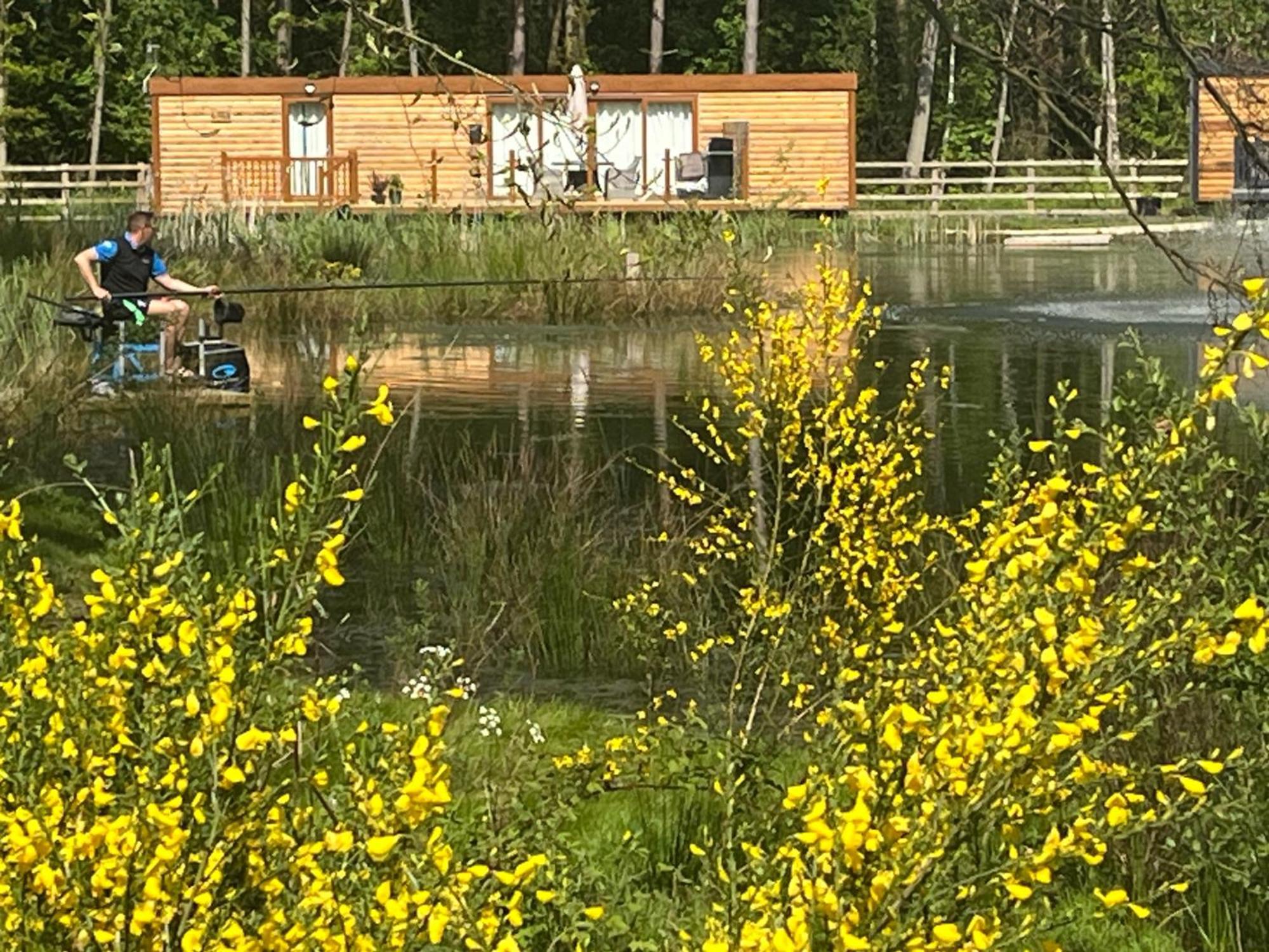 Oak Boutique Lodge Includes Hot Tub Air Con & Dog York Eksteriør billede